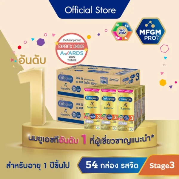 เอนฟาโกร - 01