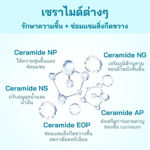 PAPA FEEL Amino Acid Ultra-gentle Cleansing Mousse อ่อนโยน กรดอะมิโน โฟมล้างหน้า เหมาะสำหรับ ผิวแพ้ง่ายสูตร Ceramide 100ml-03