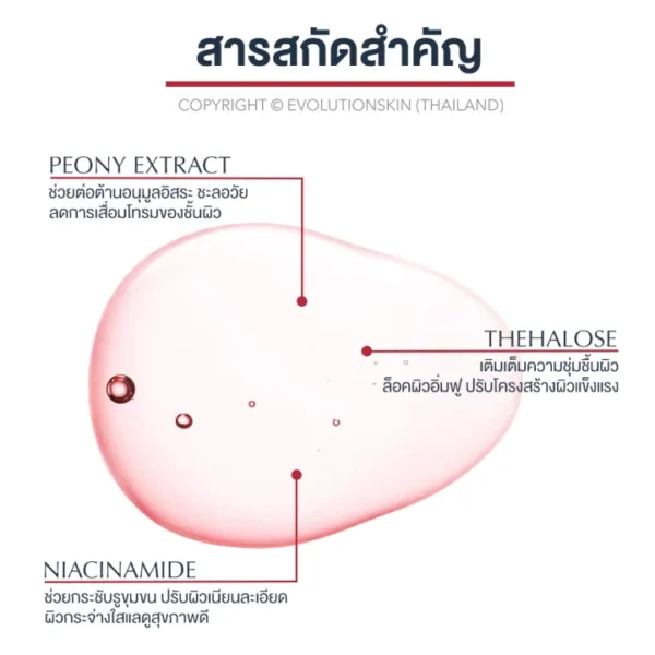 ยันฮี - 03