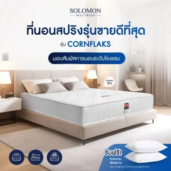 SOLOMON ที่นอนสปริง หนา9นิ้ว รุ่น Cornflaks แถมหมอนหนุนเกรดโรงแรม-06