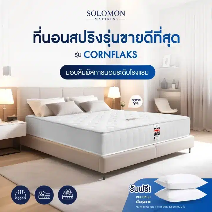 SOLOMON ที่นอนสปริง หนา9นิ้ว รุ่น Cornflaks แถมหมอนหนุนเกรดโรงแรม-06