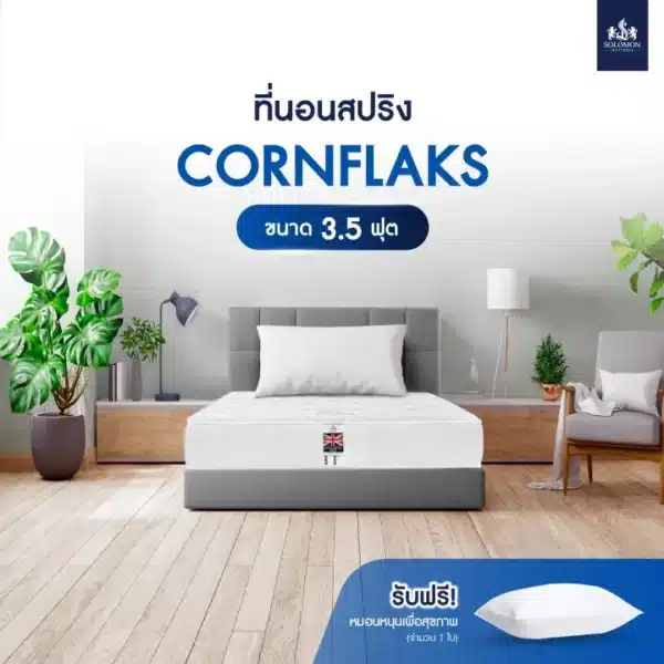 SOLOMON ที่นอนสปริง หนา9นิ้ว รุ่น Cornflaks แถมหมอนหนุนเกรดโรงแรม