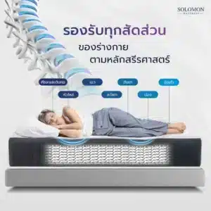 SOLOMON ที่นอนสปริงอัจฉริยะ หนา9นิ้ว รุ่น PYLA PLUS นุ่มเด้งนอนสบาย -2