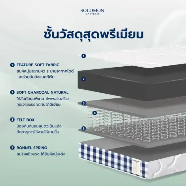 SOLOMON รุ่น Cloud ที่นอนสปริงไฮบริด หนา10นิ้ว - Image 7