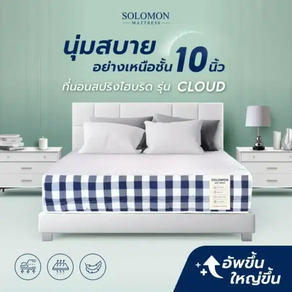 SOLOMON รุ่น Cloud ที่นอนสปริงไฮบริด หนา10นิ้ว - Image 4