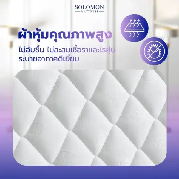 SOLOMON รุ่น Mother ที่นอนสปริงเสริมยางพารา ความหนา 10 นิ้ว-04