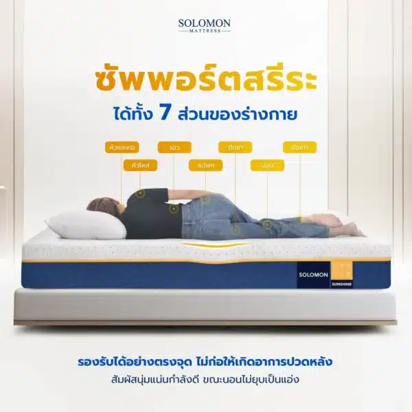 SOLOMON รุ่น Sunshine ที่นอนยางพาราแท้ ลดแรงกดทับ ลาปวดหลัง-03