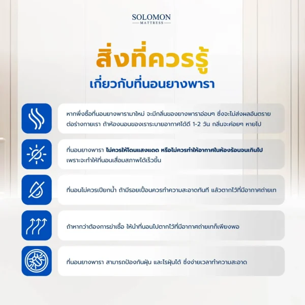 SOLOMON รุ่น Sunshine ที่นอนยางพาราแท้ ลดแรงกดทับ ลาปวดหลัง-07